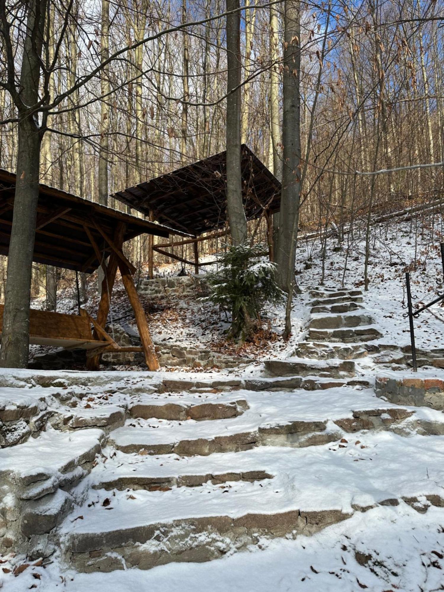 Домик В Горах Villa Tur'ya Paseka Exterior photo